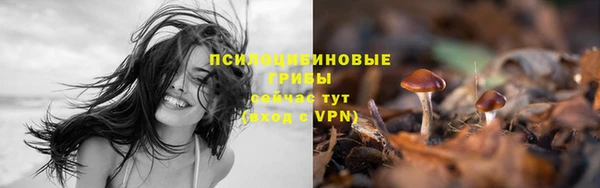 PSILOCYBIN Абдулино