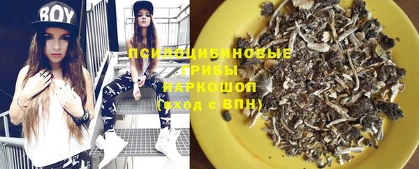 PSILOCYBIN Абдулино