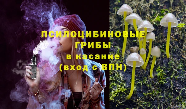 хмурый Алзамай