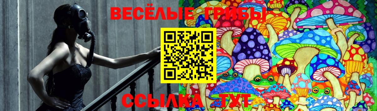 Псилоцибиновые грибы Cubensis Бугуруслан