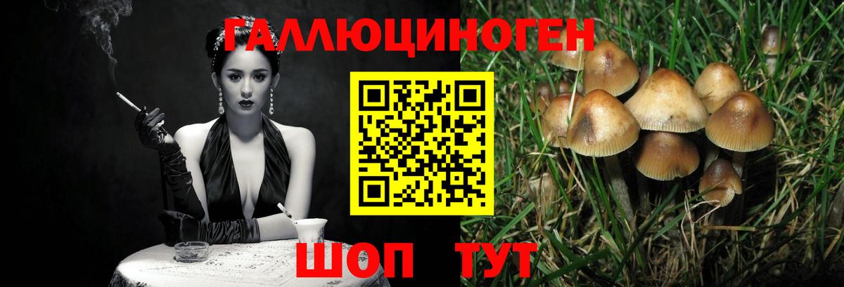 Бугуруслан  Псилоцибиновые грибы GOLDEN TEACHER  Вход с VPN 